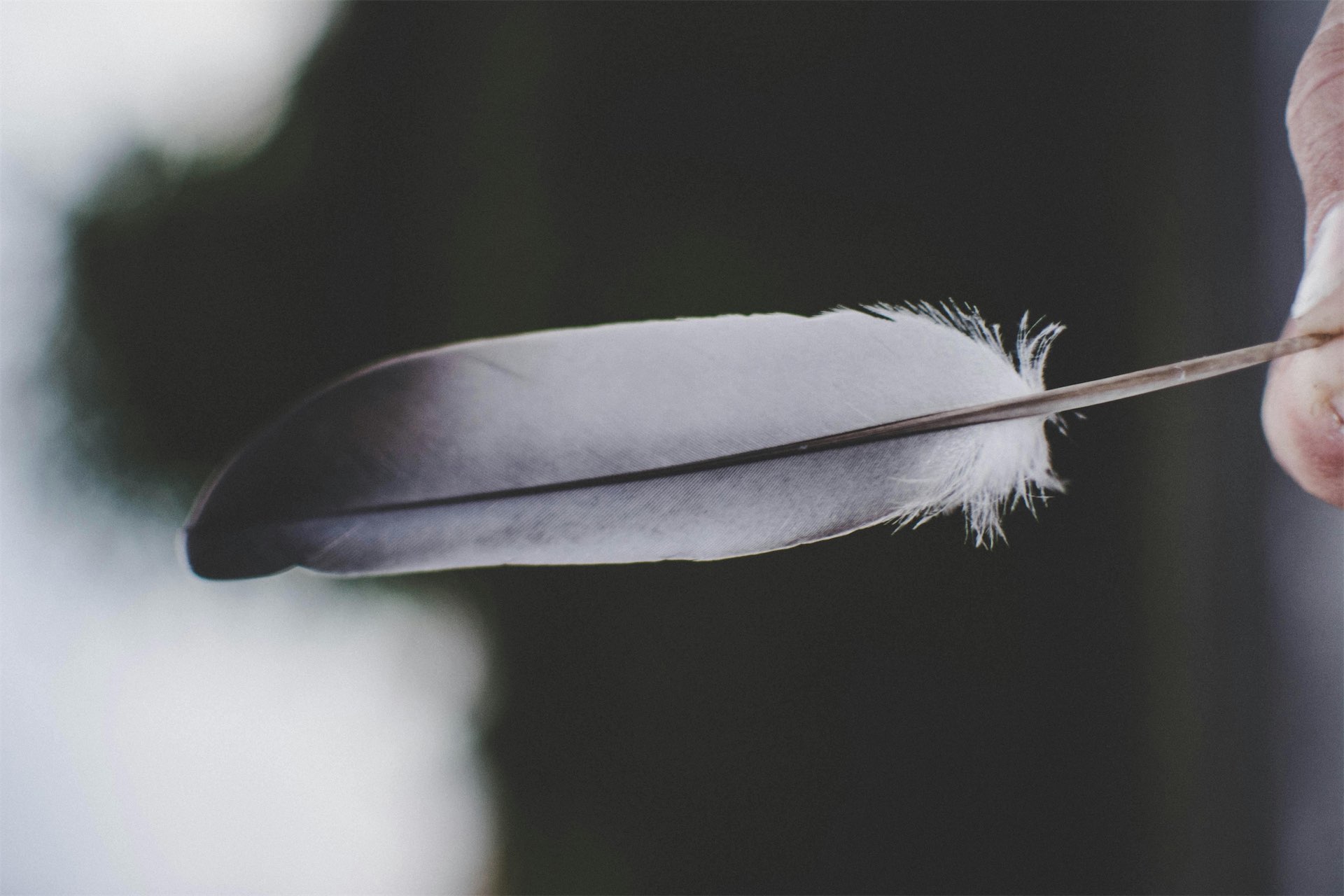 Feathers, Ice, And Everything Nice: Dating With A Sensation Play Kink