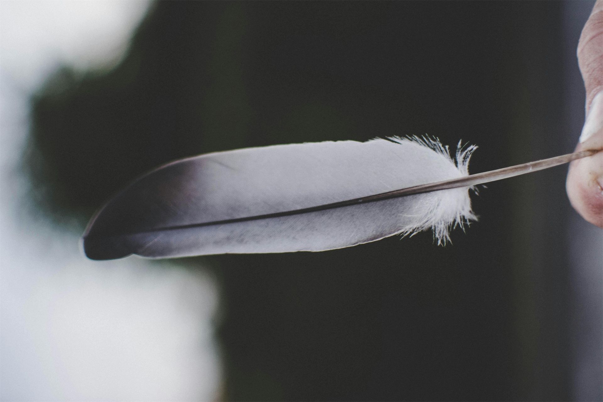 Illustration evoking consensual adult kinky sensation play