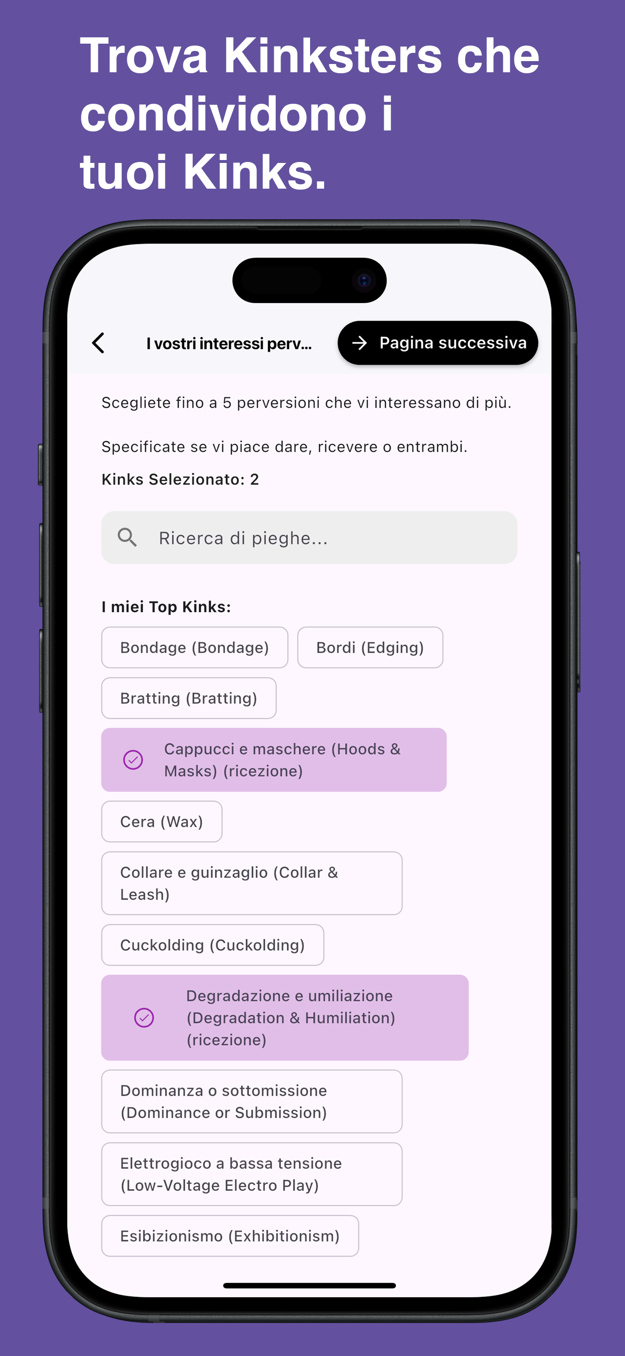 Browse and choose specific kinks in the Kinksy app