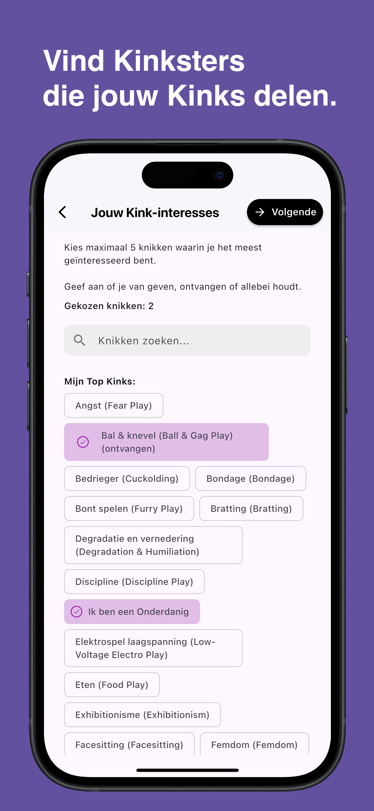 Browse and choose specific kinks in the Kinksy app