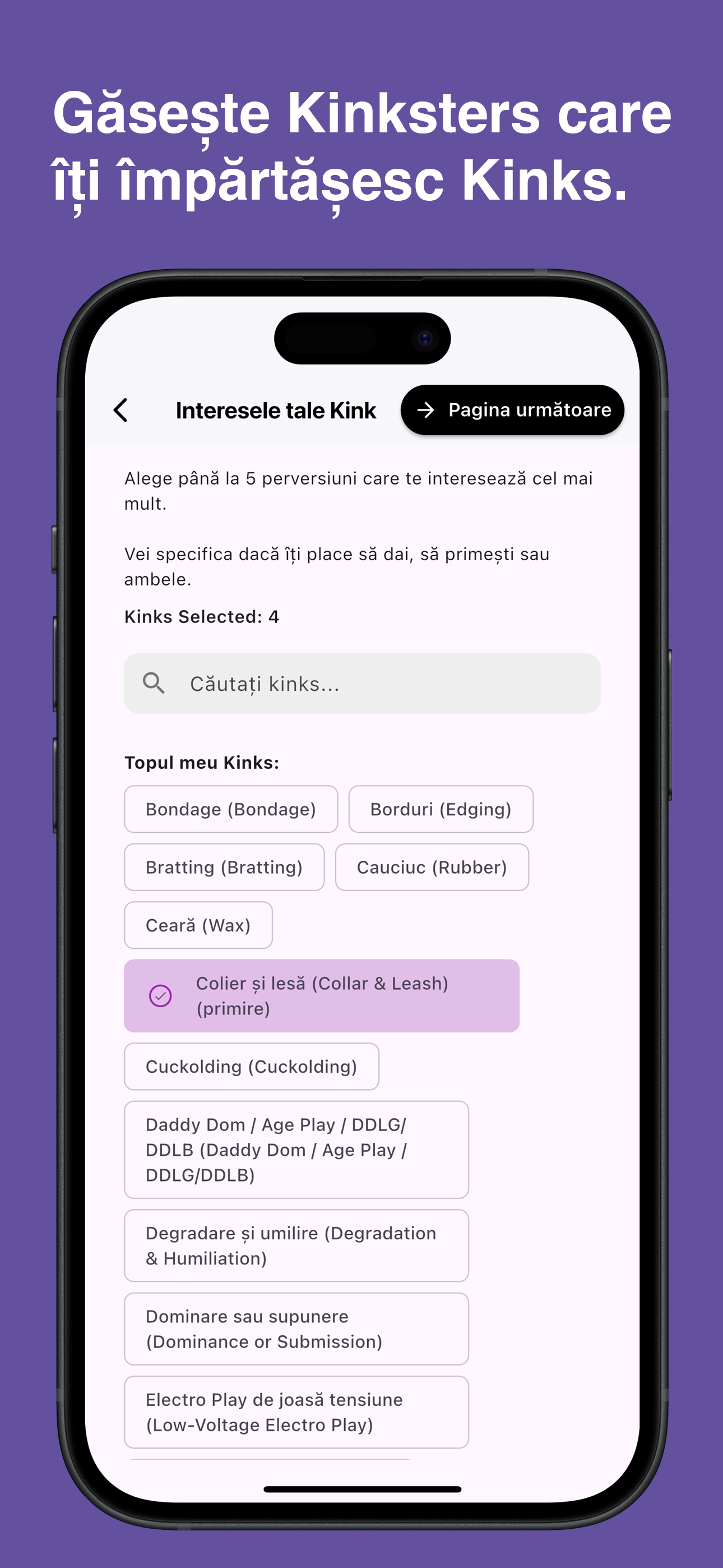Browse and choose specific kinks in the Kinksy app